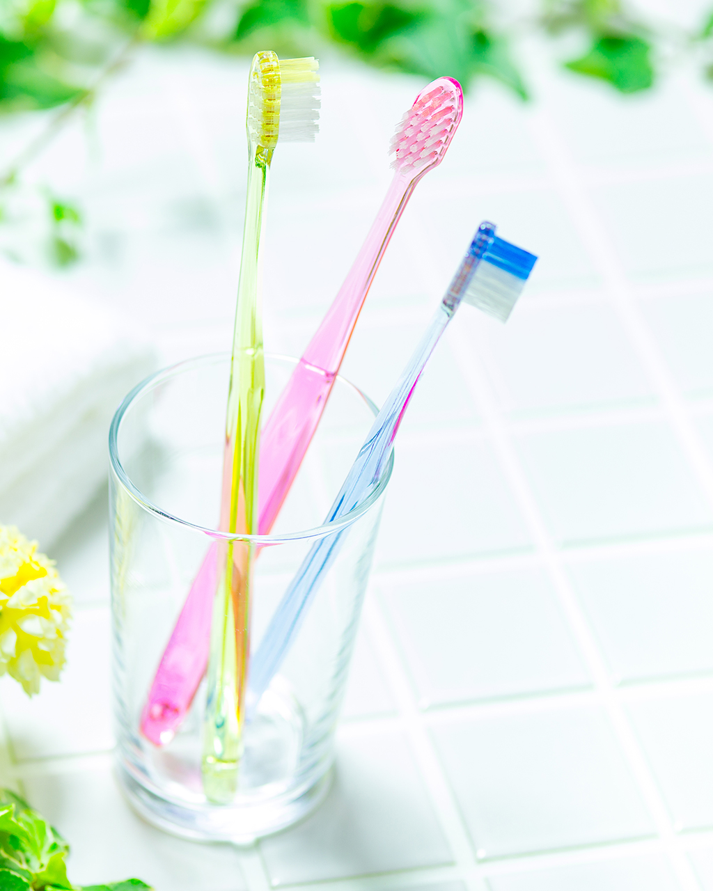 平岩歯科医院・蒲郡市・平岩 利邦